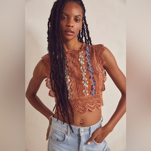 Free People Tops - Free People Bisoux Embroidered Mesh Lace Crop Top, Cinnamon Brûlée, XL, NWT